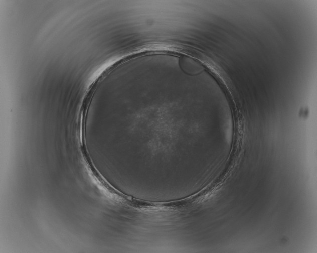 X0000111581127200908061318