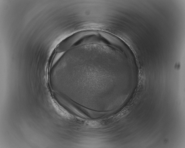 X0000111581128200908061318