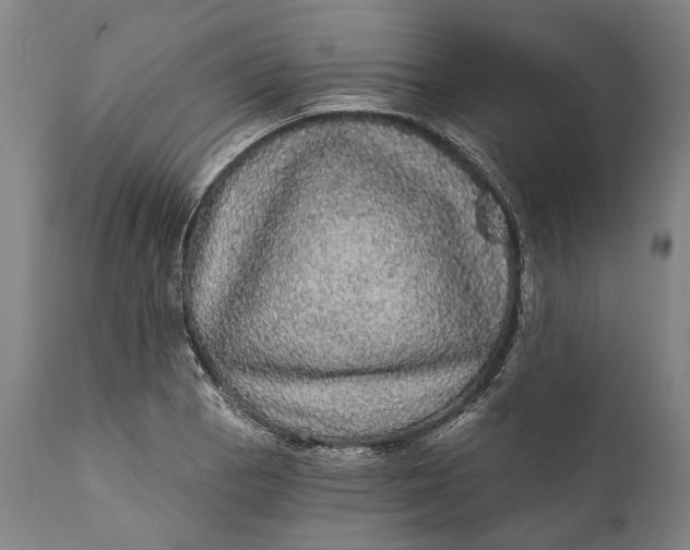 X0000111581129200908061318