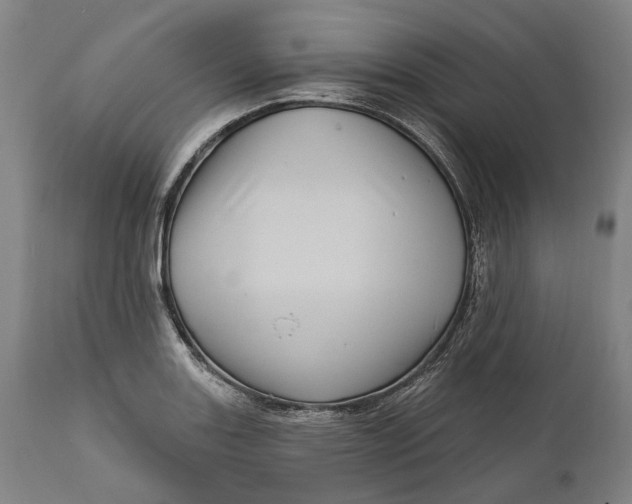 X0000111581131200908061318