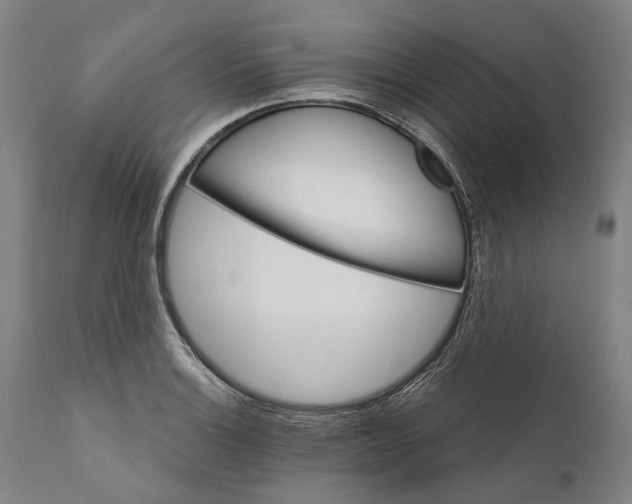 X0000111581132200908061318