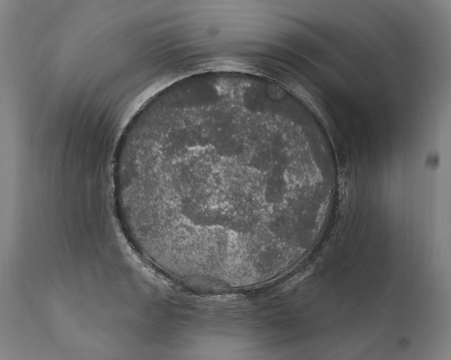 X0000111581133200908061318