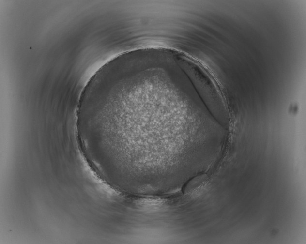 X0000111581134200908061318