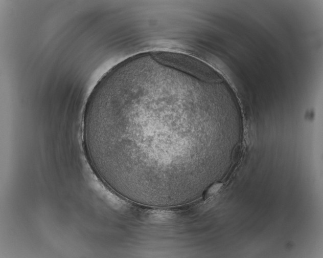 X0000111581136200908061318