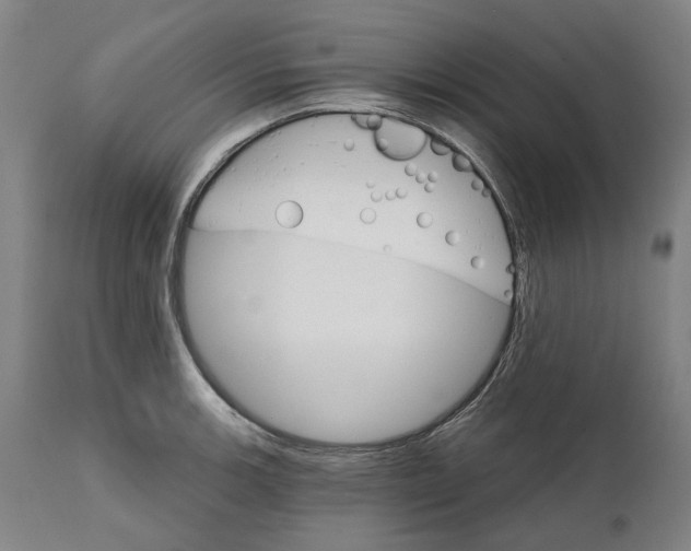 X0000111581139200908061318