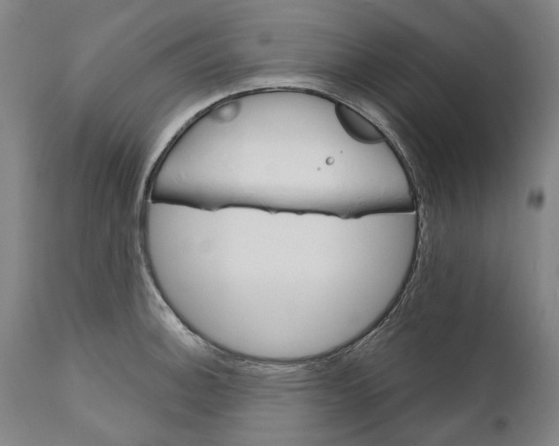 X0000111581140200908061318