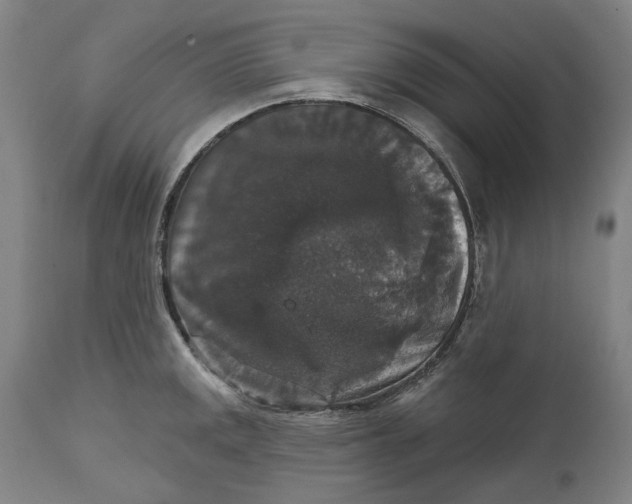 X0000111581141200908061319