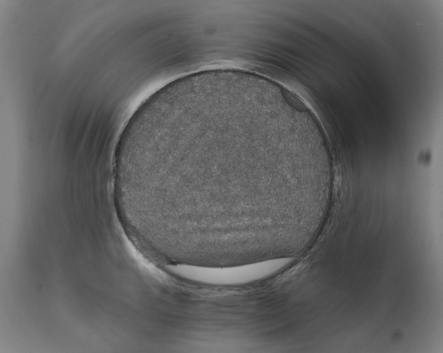 X0000111581143200908061319