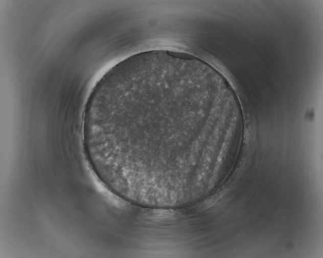 X0000111581144200908061319