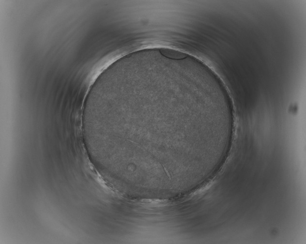 X0000111581145200908061319