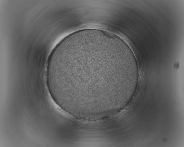 X0000111581147200908061319