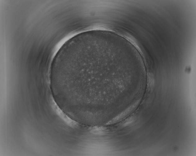 X0000111581148200908061319