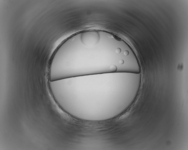 X0000111581149200908061319