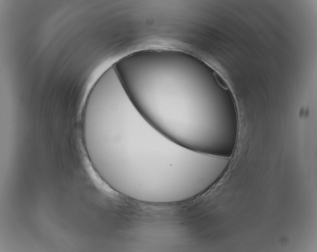 X0000111581152200908061319