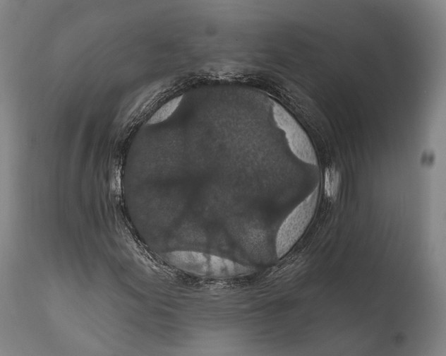 X0000111581155200908061318