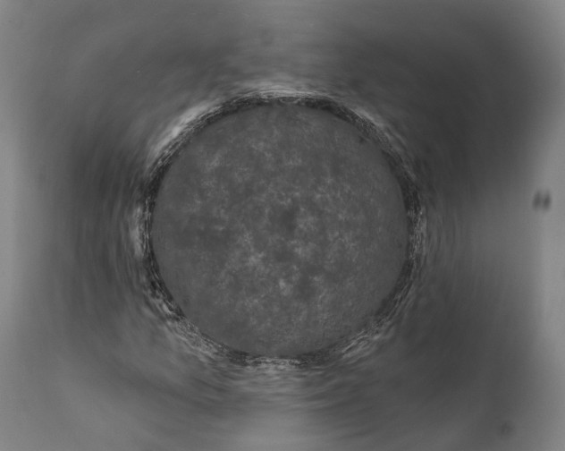 X0000111581157200908061318