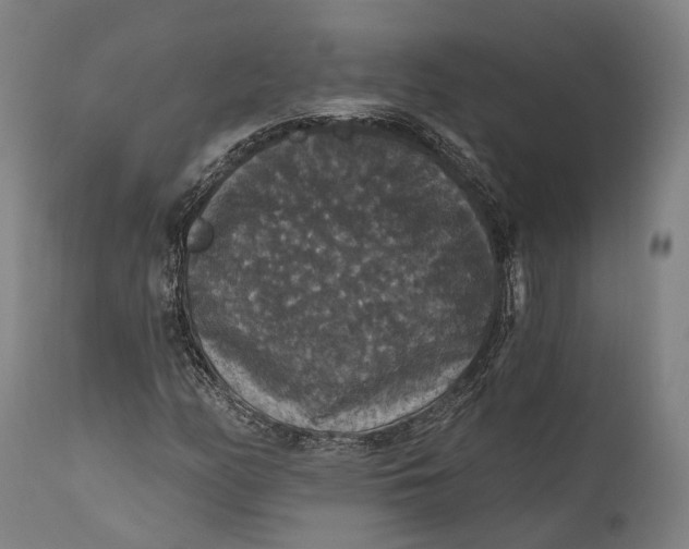 X0000111581158200908061318