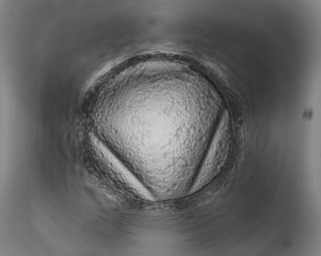 X0000111581159200908061318