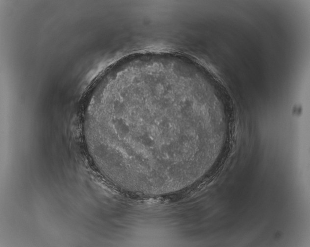 X0000111581160200908061318