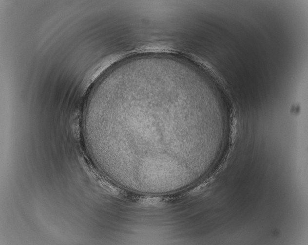 X0000111581162200908061318