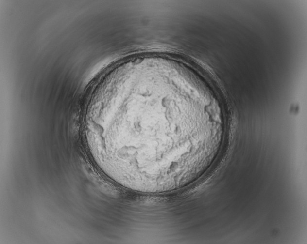 X0000111581163200908061318