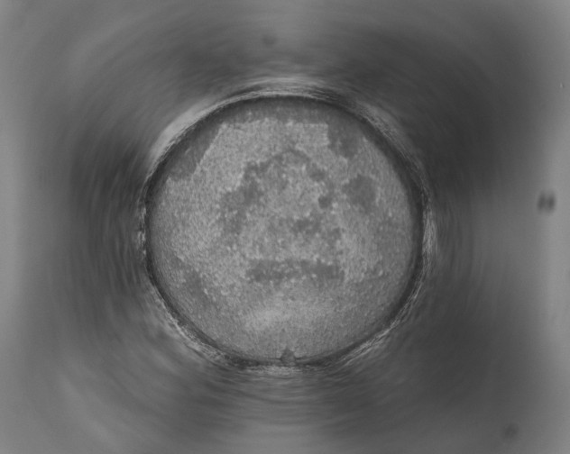 X0000111581164200908061318