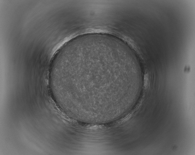 X0000111581165200908061318