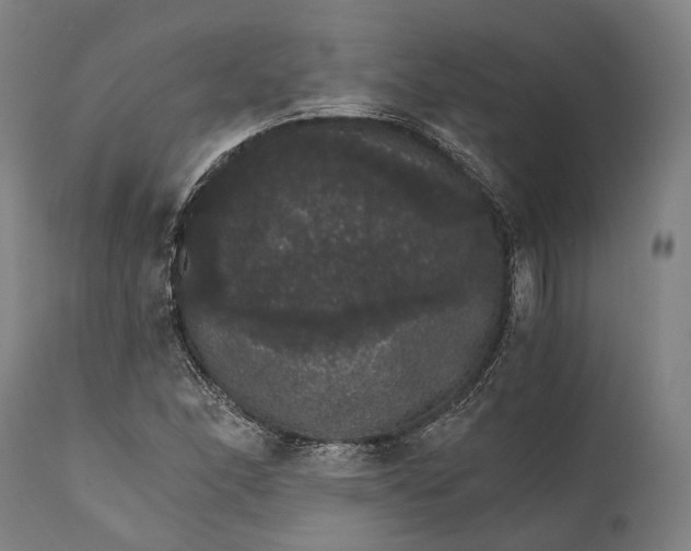 X0000111581166200908061318