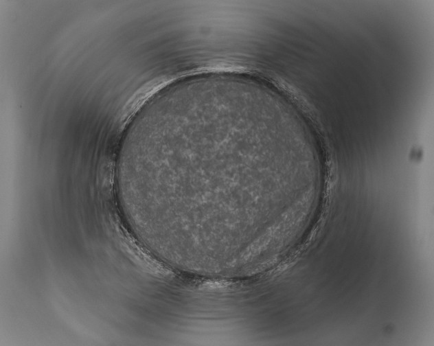 X0000111581169200908061318