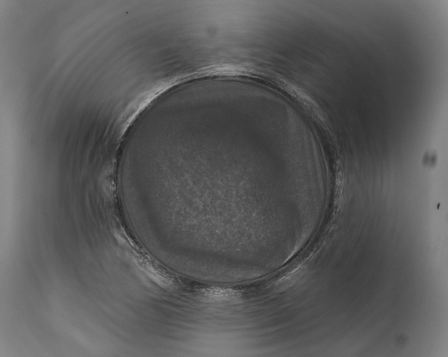 X0000111581170200908061318