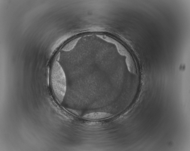 X0000111581171200908061318