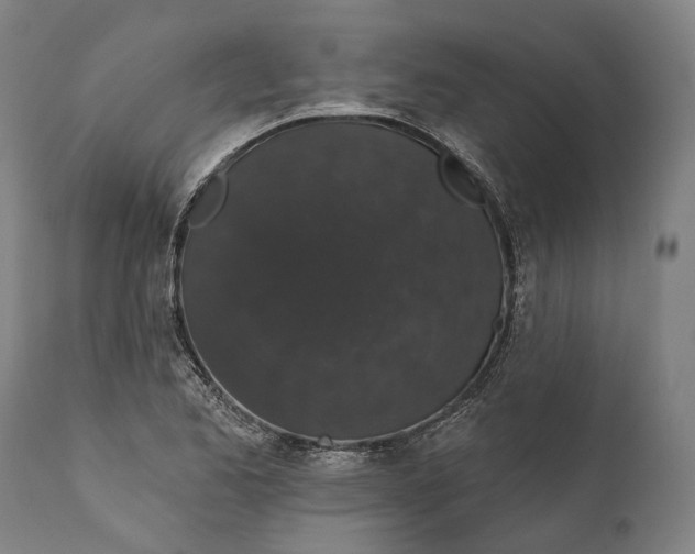 X0000111581173200908061318