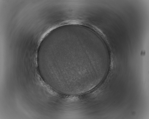 X0000111581174200908061318