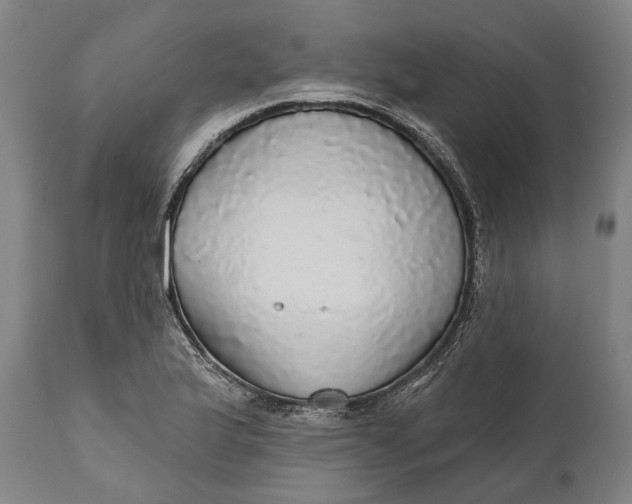 X0000111581175200908061318