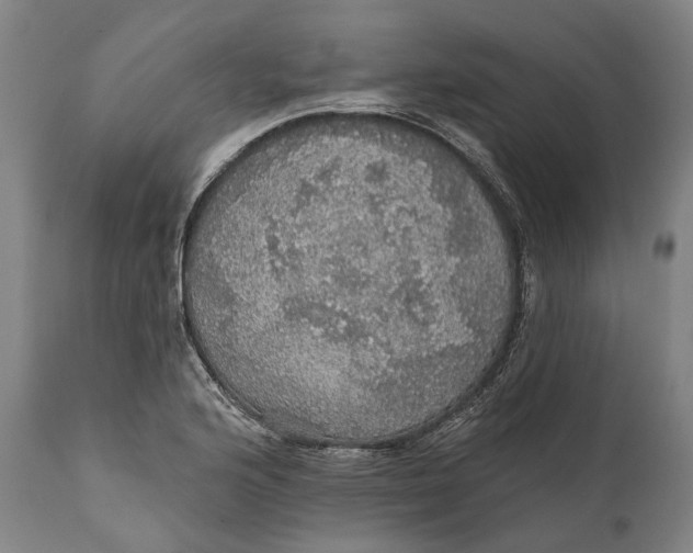 X0000111581176200908061318