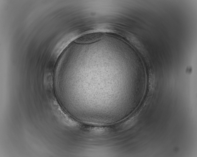 X0000111581177200908061318