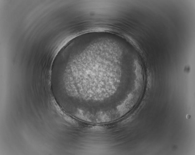 X0000111581178200908061318