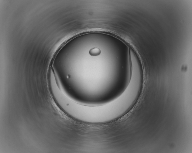 X0000111581181200908061318