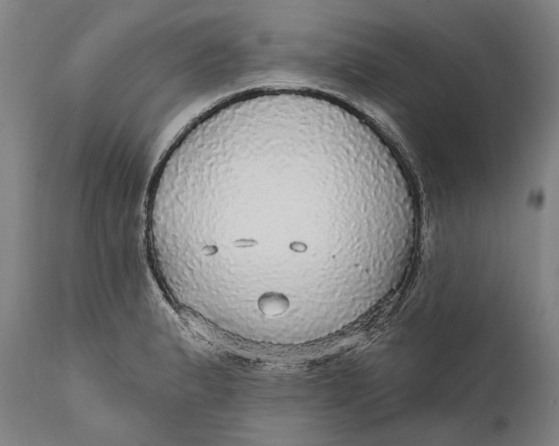 X0000111581183200908061318