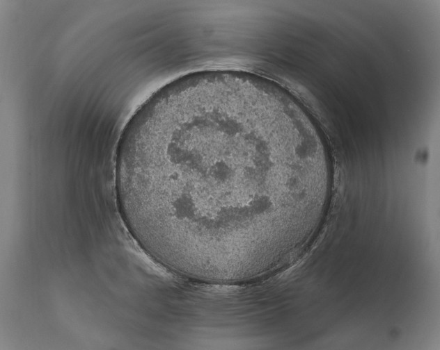 X0000111581184200908061318