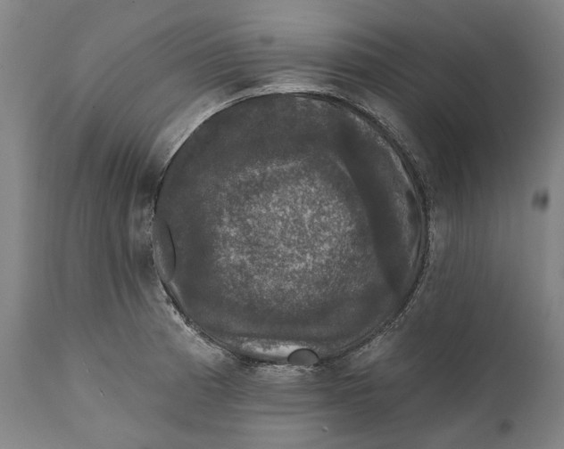 X0000111581185200908061318