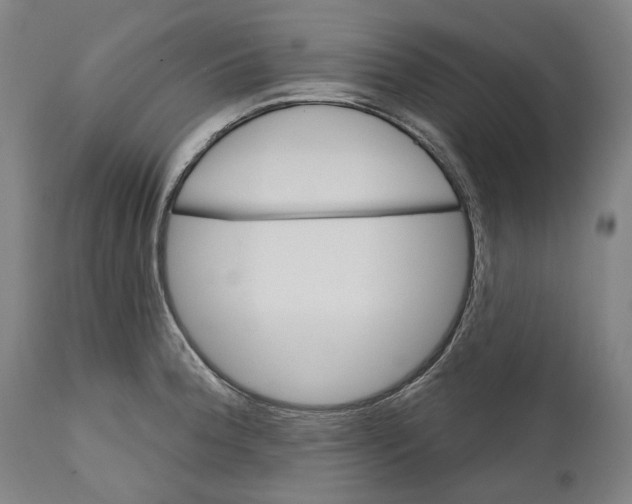 X0000111581188200908061318