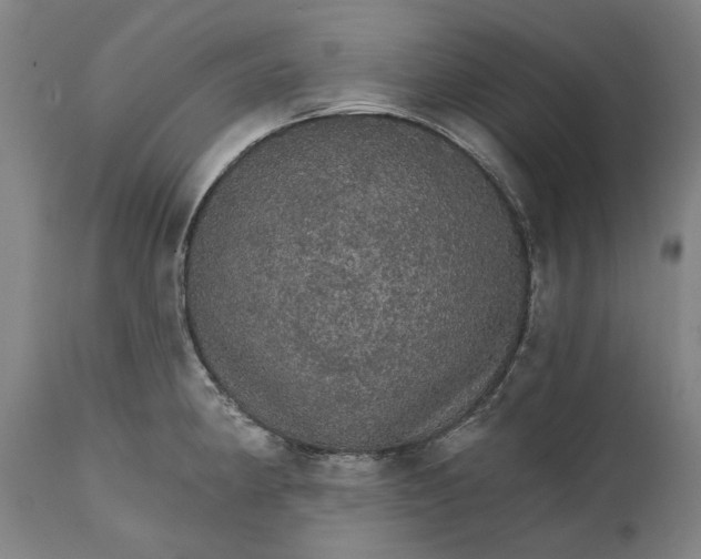 X0000111581190200908061317