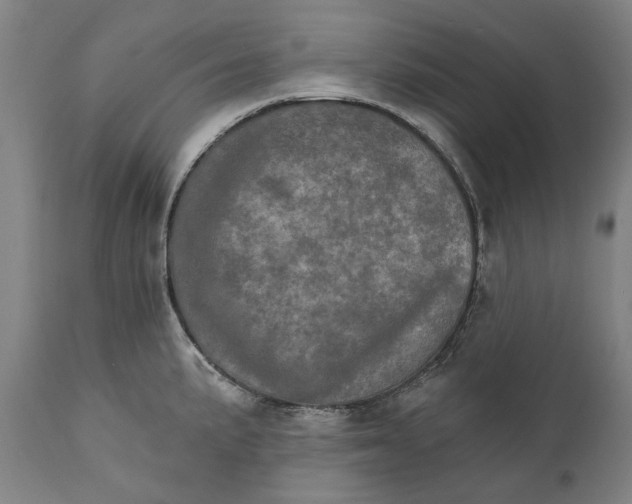 X0000111581191200908061317