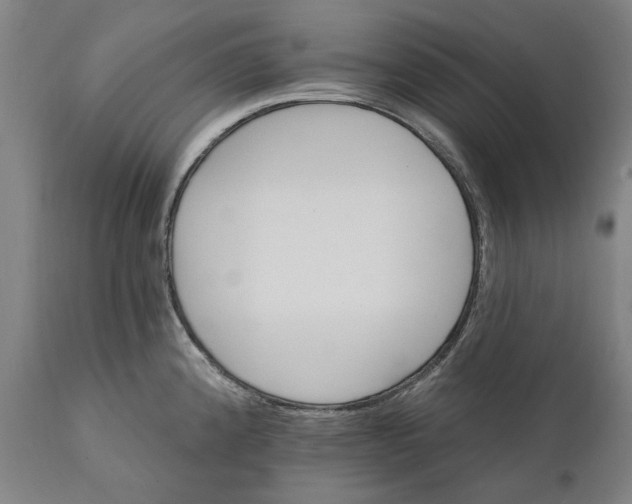 X0000111581192200908061317