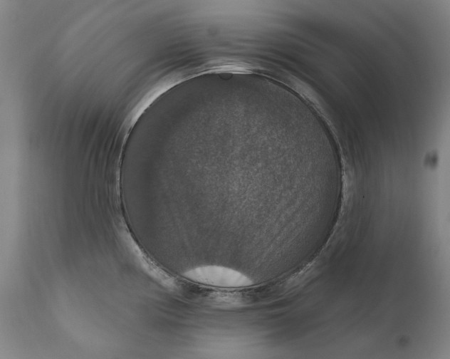 X0000111581194200908061317