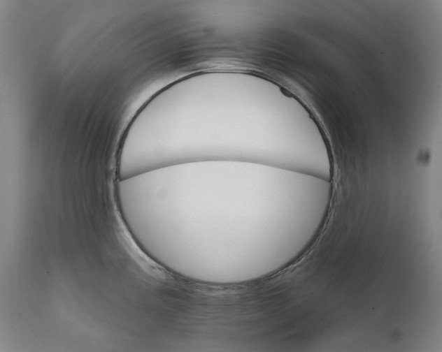 X0000111581195200908061317