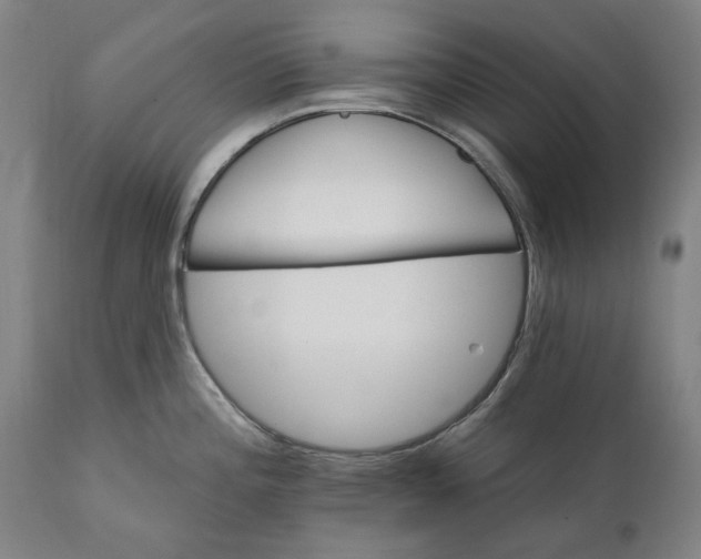 X0000111581196200908061317