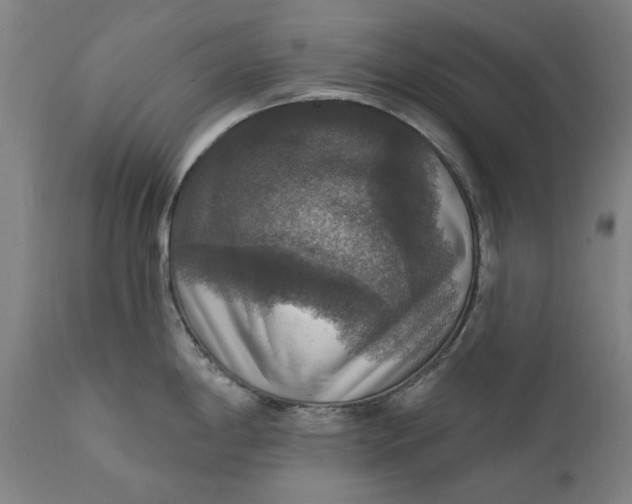 X0000111581198200908061317