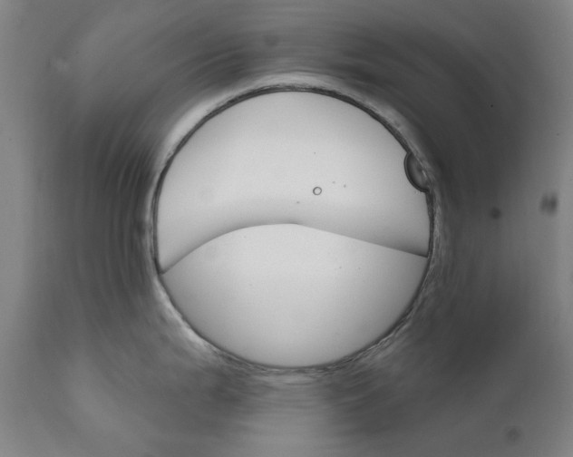 X0000111581199200908061317